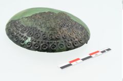 Foto von Bronzetutulusscheibenfibel (NHMW-PRAE-025122)